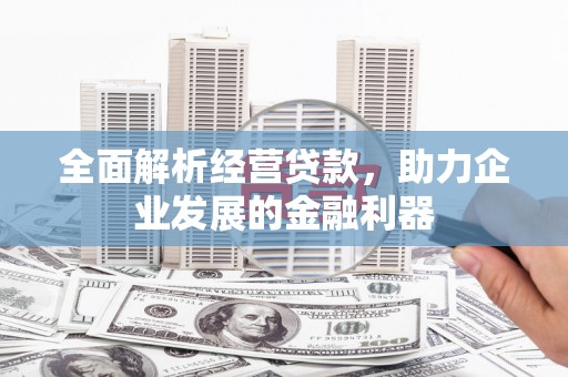 站前全面解析经营贷款，助力企业发展的金融利器