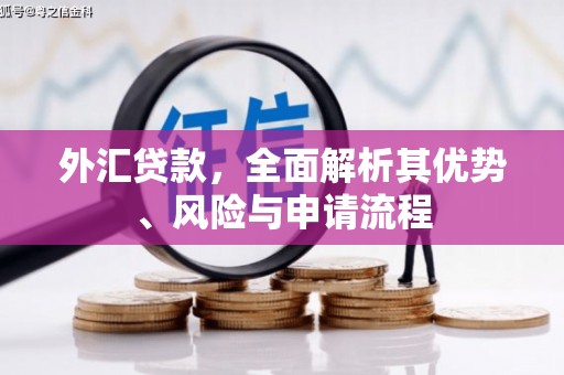 站前外汇贷款，全面解析其优势、风险与申请流程