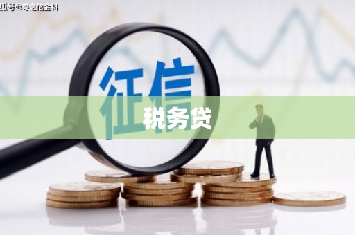站前税务贷