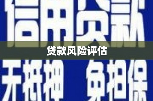 站前贷款风险评估