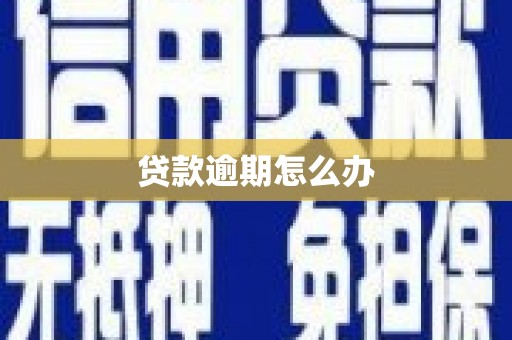 站前贷款逾期怎么办