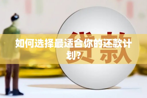 站前如何选择最适合你的还款计划？