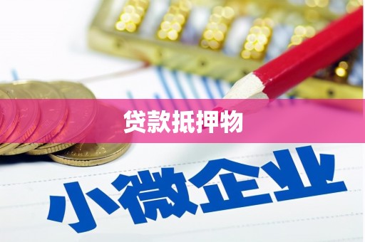 站前贷款抵押物