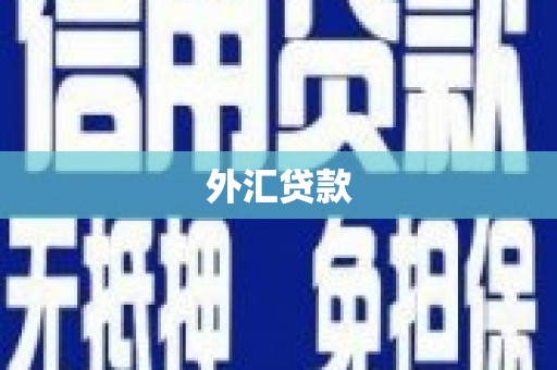 站前外汇贷款