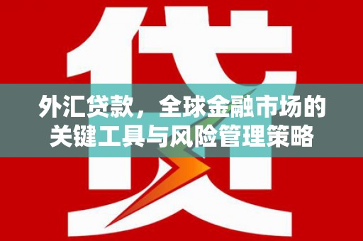 站前外汇贷款，全球金融市场的关键工具与风险管理策略