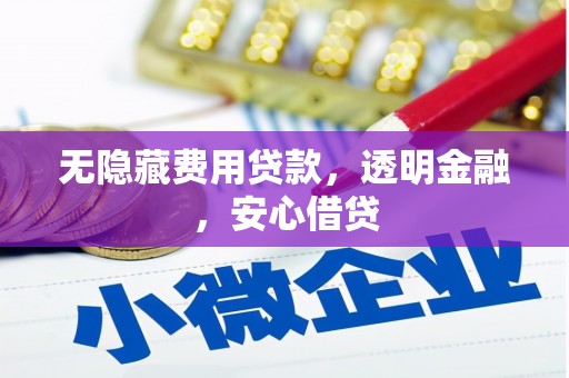 站前无隐藏费用贷款，透明金融，安心借贷