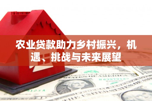 站前农业贷款助力乡村振兴，机遇、挑战与未来展望