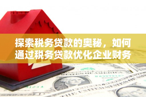 站前探索税务贷款的奥秘，如何通过税务贷款优化企业财务