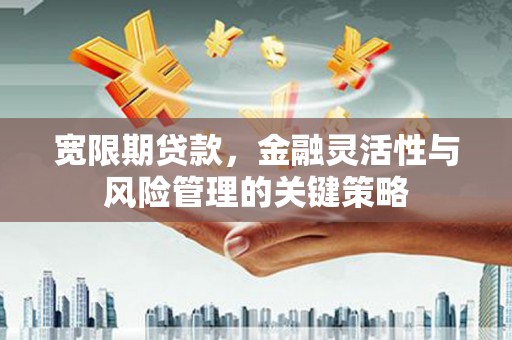 站前宽限期贷款，金融灵活性与风险管理的关键策略