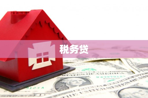 站前税务贷