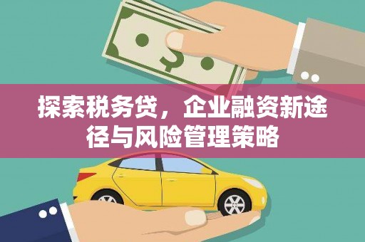站前探索税务贷，企业融资新途径与风险管理策略