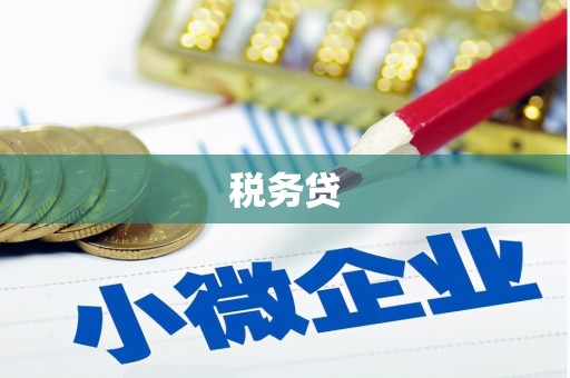 站前税务贷