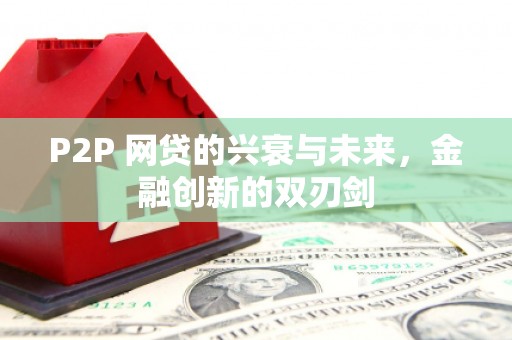 站前P2P 网贷的兴衰与未来，金融创新的双刃剑