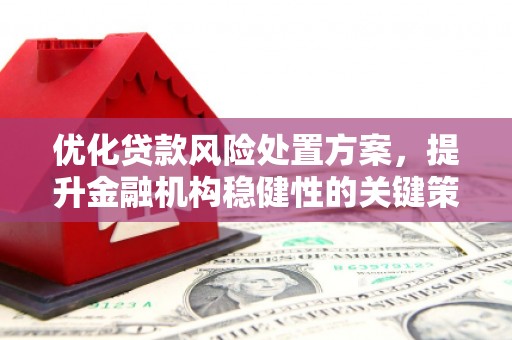 站前优化贷款风险处置方案，提升金融机构稳健性的关键策略