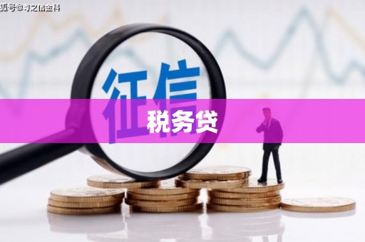 站前税务贷
