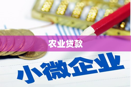 站前农业贷款