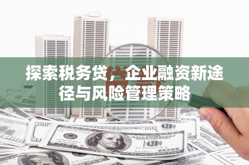 站前探索税务贷，企业融资新途径与风险管理策略