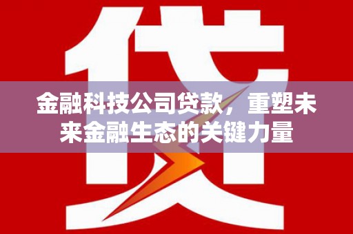站前金融科技公司贷款，重塑未来金融生态的关键力量