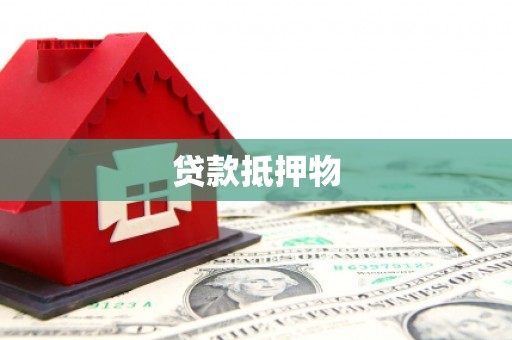 站前贷款抵押物