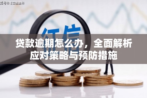 站前贷款逾期怎么办，全面解析应对策略与预防措施