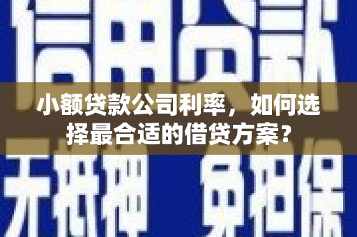 站前小额贷款公司利率，如何选择最合适的借贷方案？