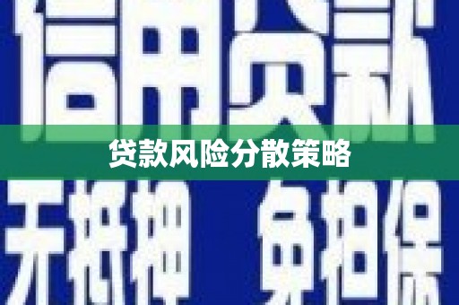 站前贷款风险分散策略