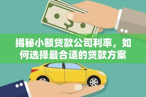 站前揭秘小额贷款公司利率，如何选择最合适的贷款方案