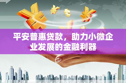 站前平安普惠贷款，助力小微企业发展的金融利器