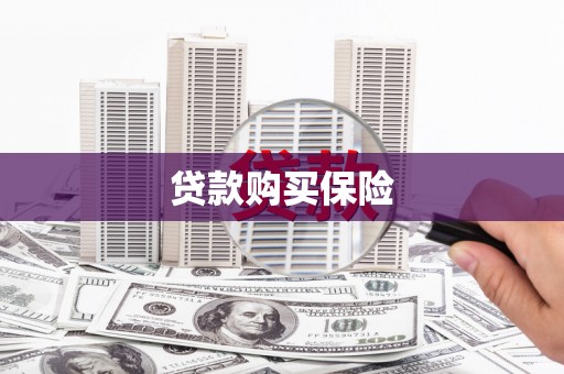 站前贷款购买保险