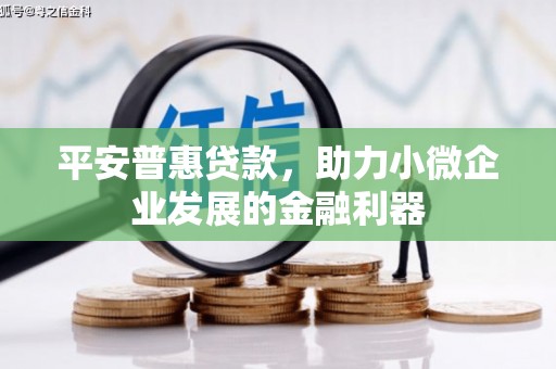 站前平安普惠贷款，助力小微企业发展的金融利器