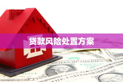 站前贷款风险处置方案