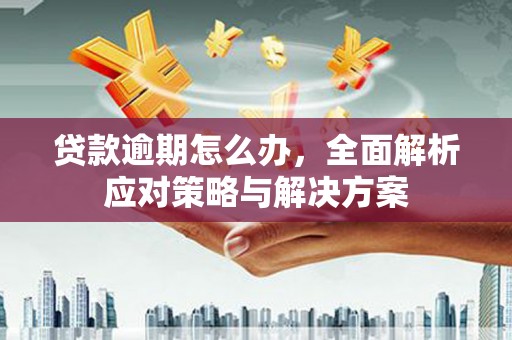 站前贷款逾期怎么办，全面解析应对策略与解决方案