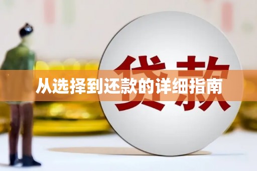 站前从选择到还款的详细指南