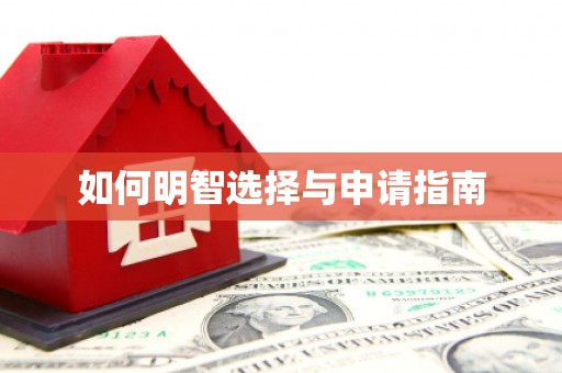 站前如何明智选择与申请指南