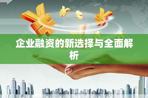 站前企业融资的新选择与全面解析